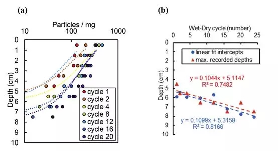 640 (2).webp (4).jpg