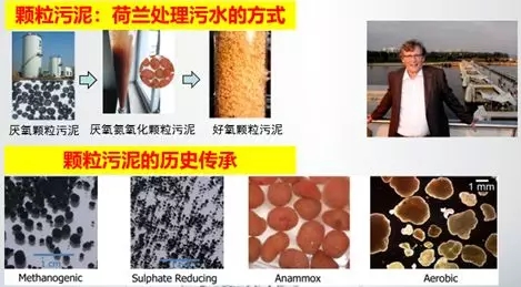 640.webp (2).jpg 640.webp (2).jpg