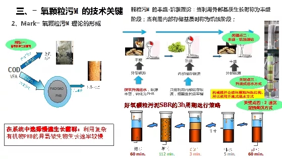 640.webp (4).jpg 640.webp (4).jpg