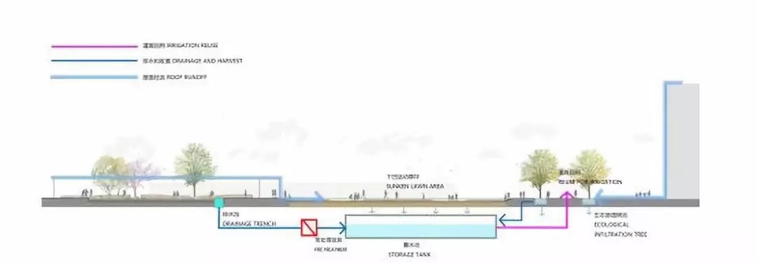 640 (1).webp (8).jpg 640 (1).webp (8).jpg