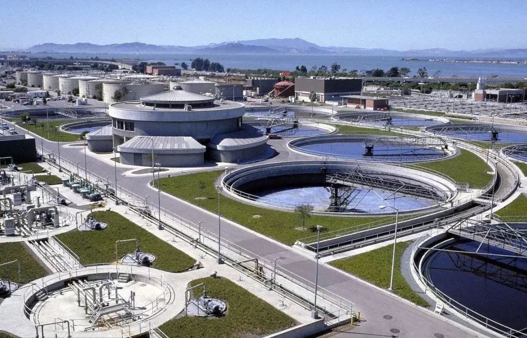 640.webp (24).jpg 640.webp (24).jpg