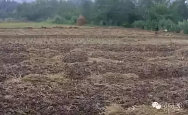 640.webp.jpg 640.webp.jpg