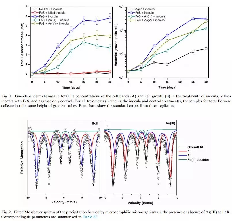 640.webp (12).jpg 640.webp (12).jpg
