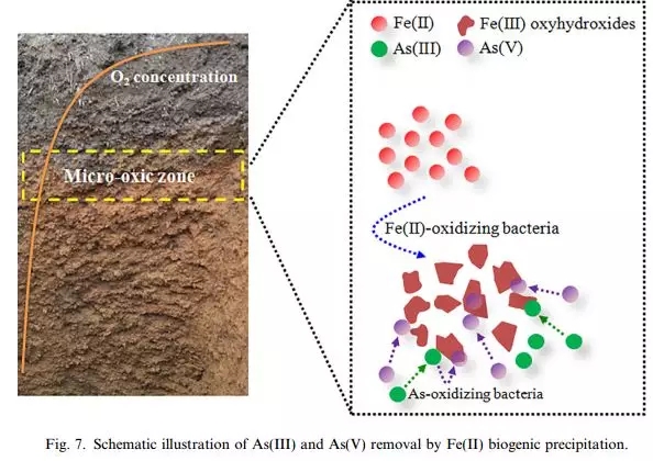 640.webp (13).jpg 640.webp (13).jpg