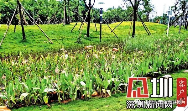 640.webp (9).jpg 640.webp (9).jpg