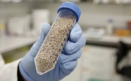 640.webp (37).jpg 640.webp (37).jpg