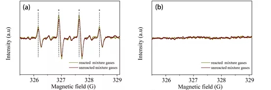 640.webp (25).jpg 640.webp (25).jpg