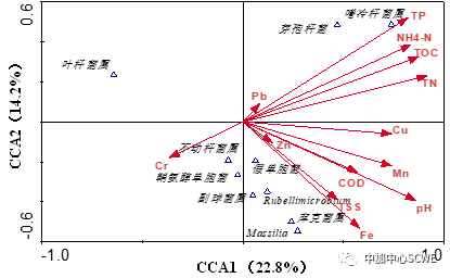 640 (4).png 640 (4).png