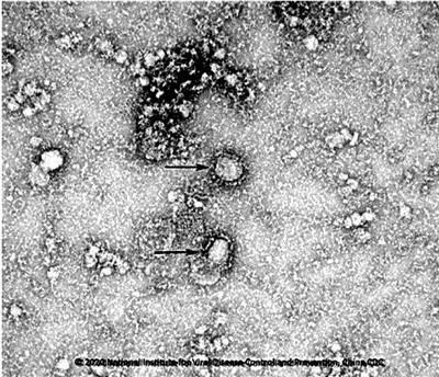 640 (48).jpg 640 (48).jpg