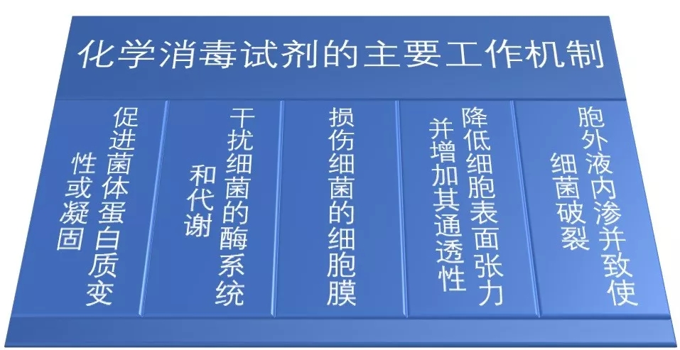 640 (2).webp (10).jpg 640 (2).webp (10).jpg