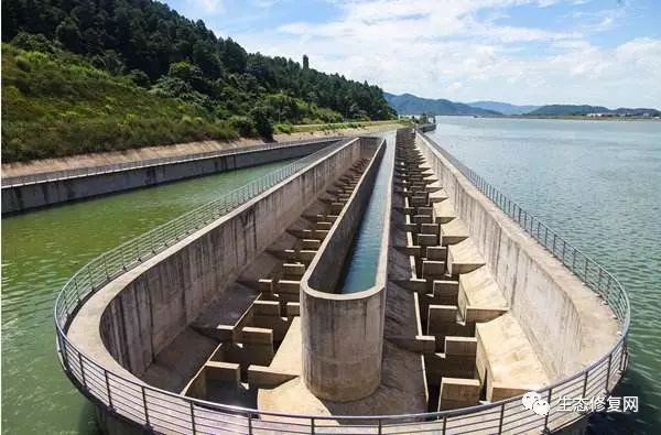 640.webp (11).jpg 640.webp (11).jpg