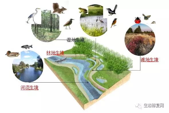 640.webp (12).jpg 640.webp (12).jpg