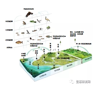 640.webp (16).jpg 640.webp (16).jpg