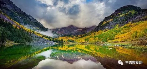 640.webp (17).jpg 640.webp (17).jpg