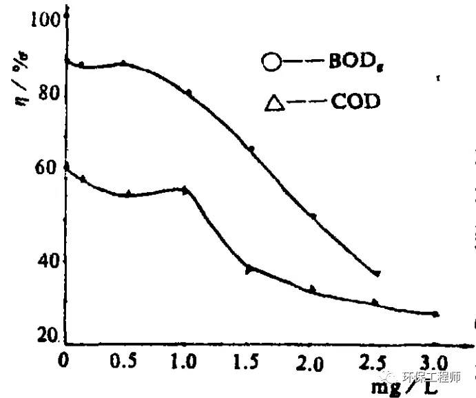 640 (1).webp (11).jpg