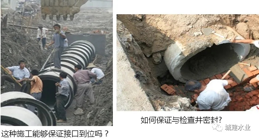 640 (2).webp (14).jpg