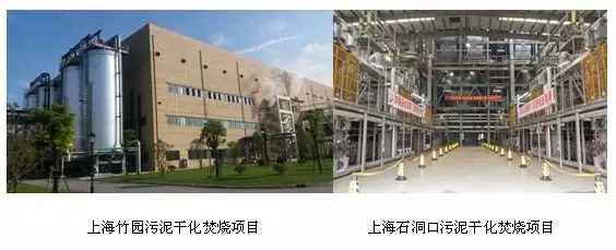 640 (2).webp (32).jpg