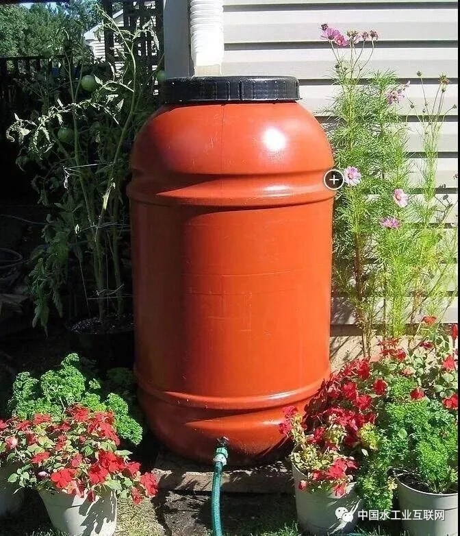 640 (3).webp (7).jpg