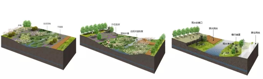 640.webp (13).jpg 640.webp (13).jpg