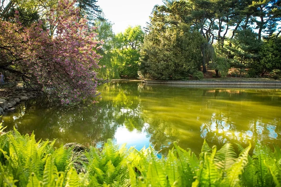 640.webp (21).jpg 640.webp (21).jpg