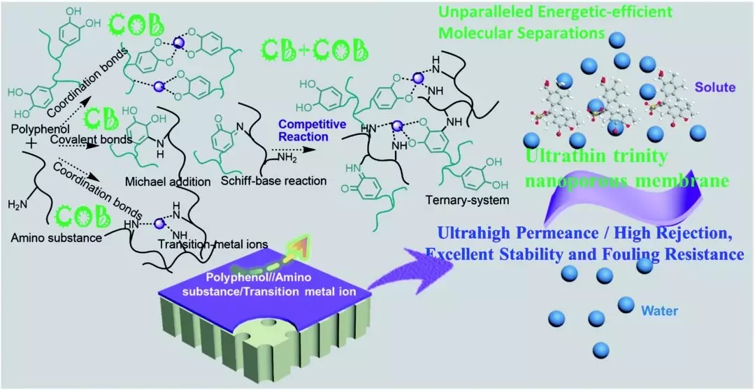 640.webp (9).jpg 640.webp (9).jpg