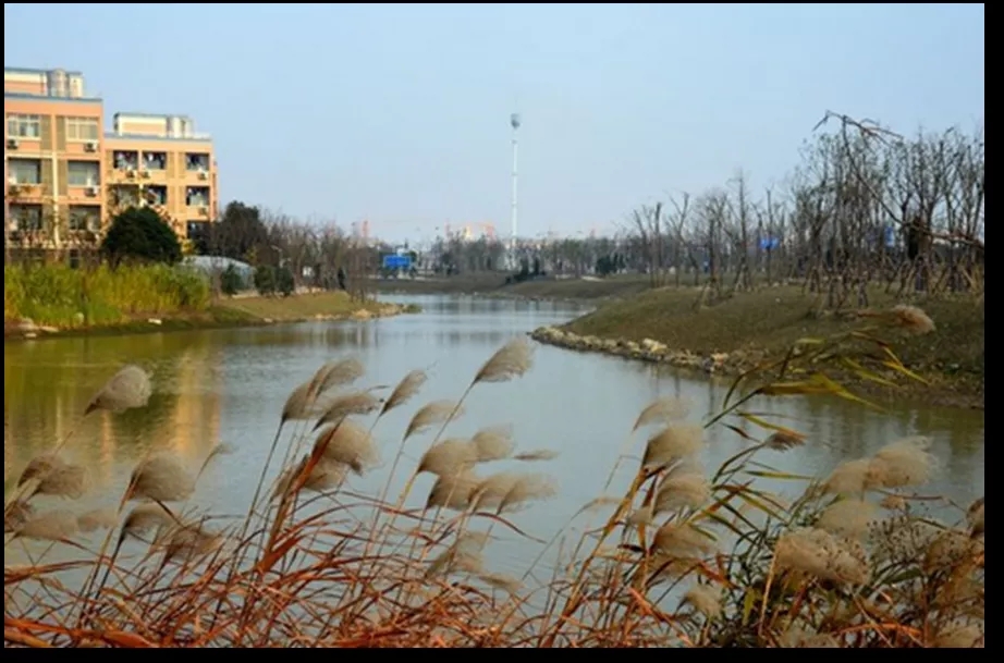 640.webp (6).jpg 640.webp (6).jpg