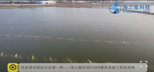 膜力十足的EHBR生物膜助力亚洲最大城中湖生态治理（4.14）1298.png