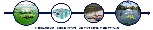 苏伊士新闻素材_2023年度中法团队合作创新奖研发奖 20231107_行业新闻类754.png